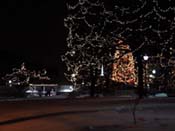 green-tree-gazebo
