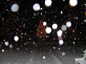 snowy_green_JJW_001
