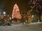 snowy_green_JJW_014