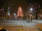 snowy_green_JJW_020