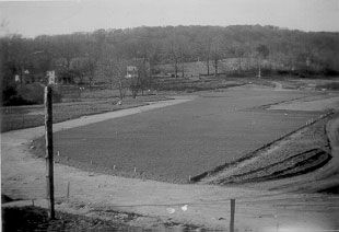 quiz14.jpg (14771 bytes)