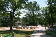 greenlongview.jpg (30637 bytes)
