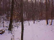 Dec26_20.jpg (23788 bytes)