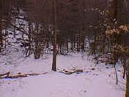 Dec26_23.jpg (22685 bytes)