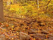 hike2-21.jpg (27535 bytes)