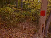 hikeosb4.jpg (26182 bytes)