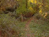 hiking14.jpg (25159 bytes)