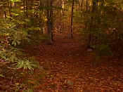 hiking18.jpg (23438 bytes)