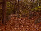 hiking20.jpg (25417 bytes)