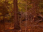 hiking26.jpg (25271 bytes)