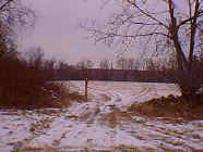 winter12.jpg (24893 bytes)