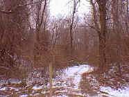 winter14.jpg (24712 bytes)