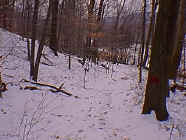 winter26.jpg (24903 bytes)