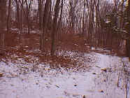 winter6.jpg (24958 bytes)