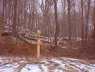 winter8.jpg (26149 bytes)
