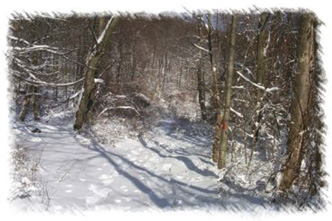 snowhike-012
