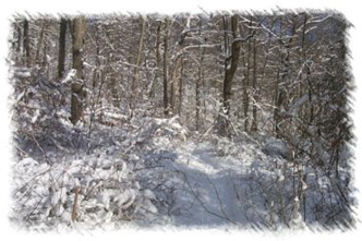 snowhike-014