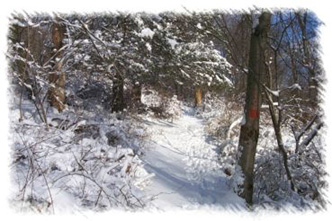 snowhike-019