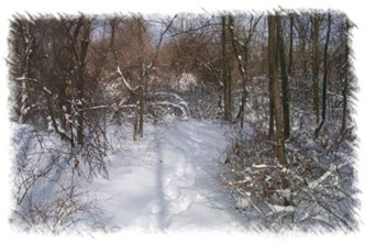snowhike-032