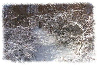 snowhike-033