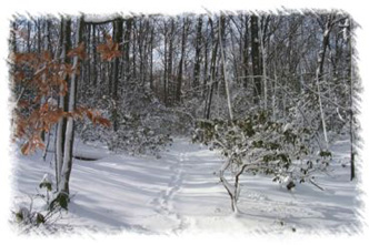 snowhike-045
