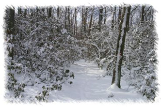 snowhike-046