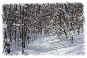 snowhike-049