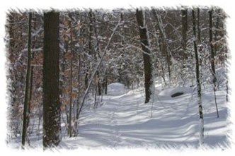 snowhike-050
