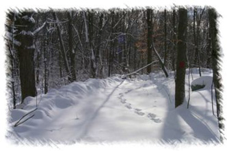 snowhike-055