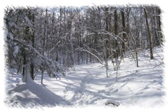 snowhike-059