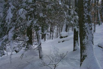 snowhike-061