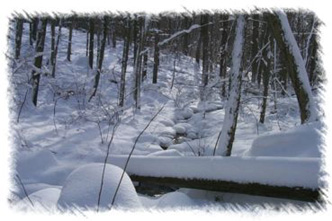 snowhike-065