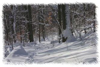 snowhike-067