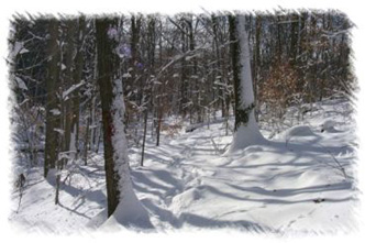 snowhike-069
