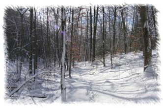 snowhike-070