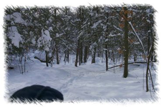 snowhike-071