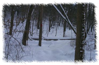 snowhike-086