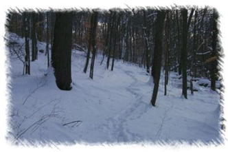 snowhike-090
