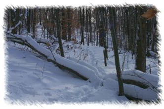 snowhike-092