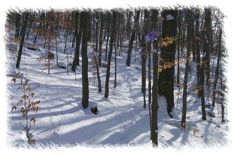 snowhike-093