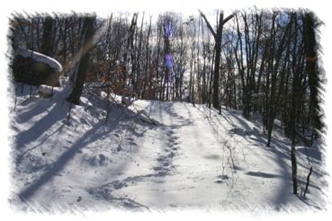 snowhike-096