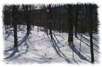 snowhike-099