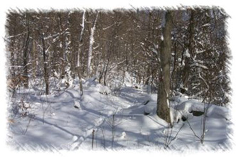 snowhike-108