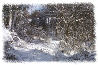 snowhike-114