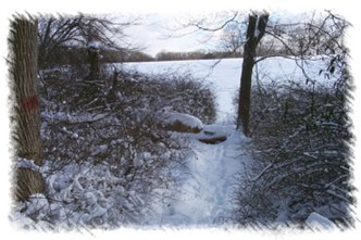 snowhike-116
