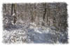 snowhike-014