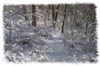 snowhike-015