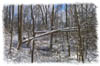 snowhike-017