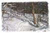 snowhike-029