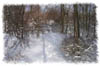 snowhike-032